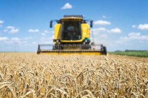Colheitadeira amarela avança sobre plantação de trigo como representação de conteúdos sobre negócios e agronegócio