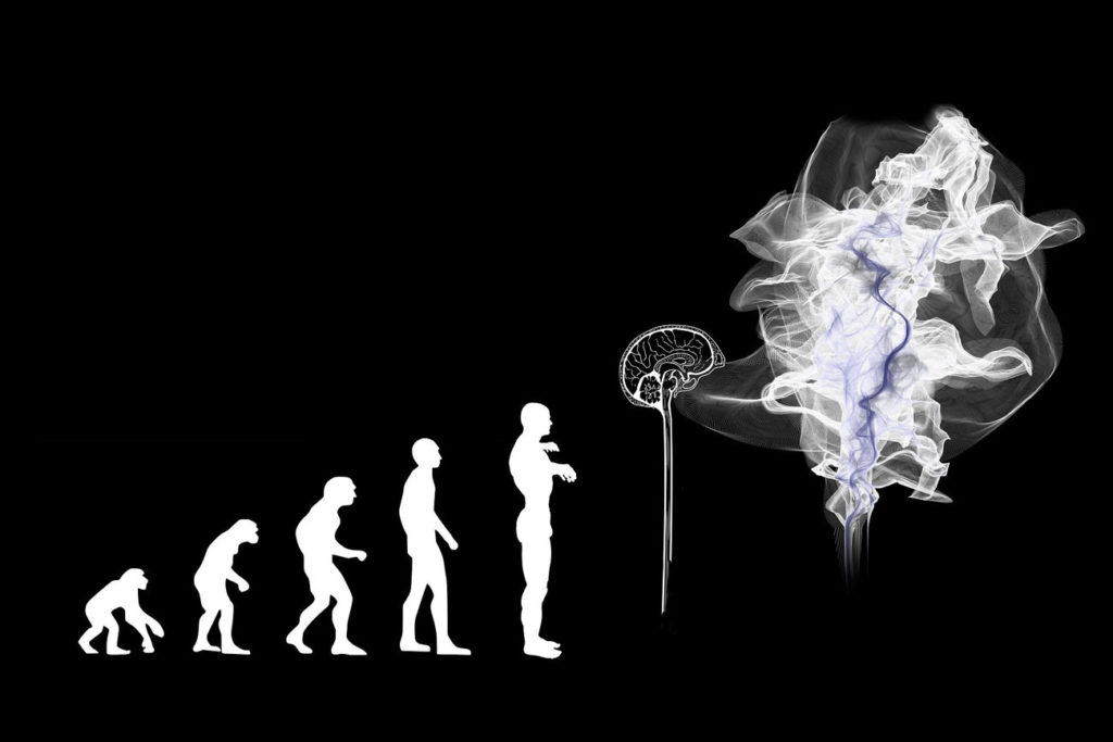 Escada de evolução desde o macaco até o homem como somos atualmente e, no passo seguinte, a transformação do cérebro em nuvem como uma metáfora do Metaverso.